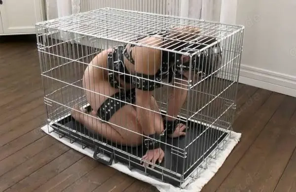 Dom sucht Pet (w 21-36) für Gassie gehen 