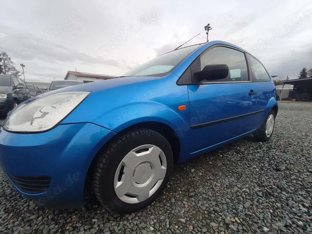 Ford Fiesta Viva X