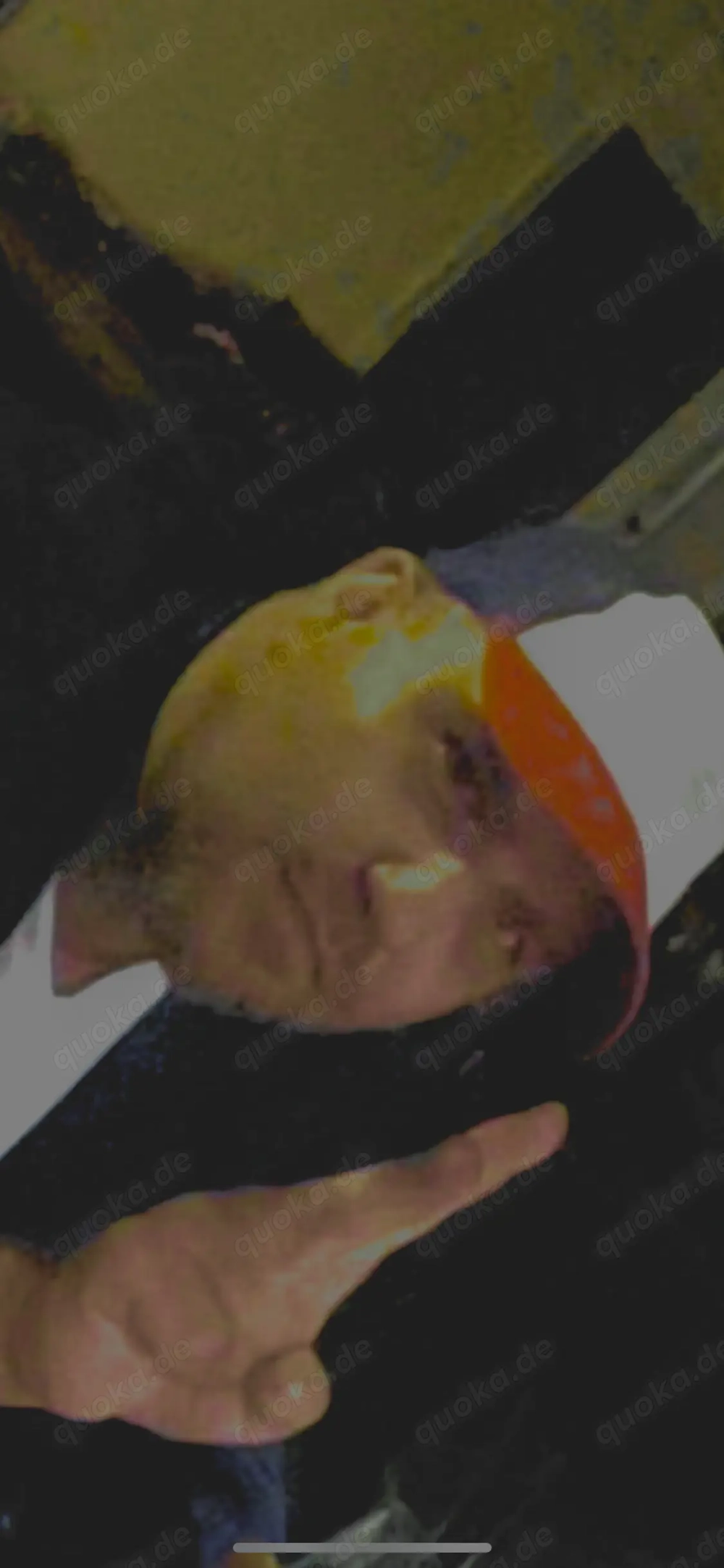 Er sucht sie für eeotik