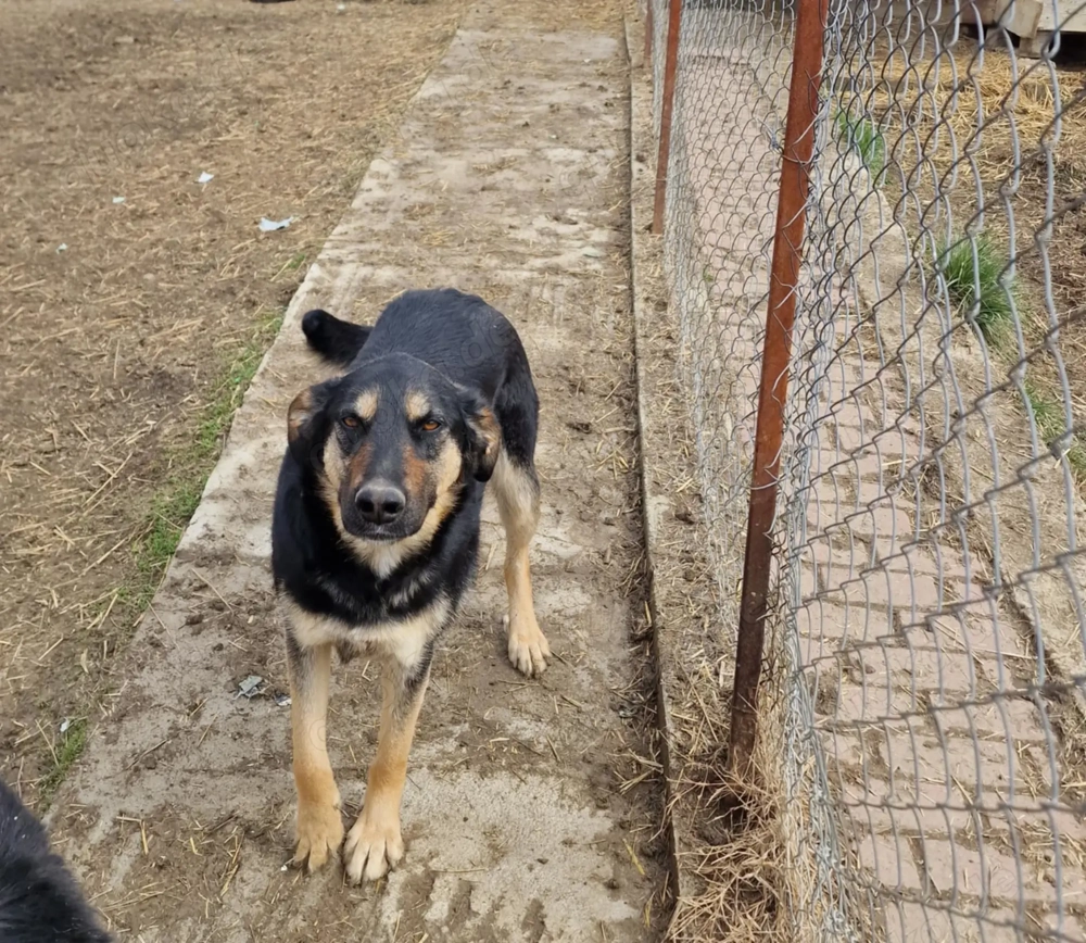 Olivia, nur weil ich schwarz bin finde ich meine Menschen nicht?