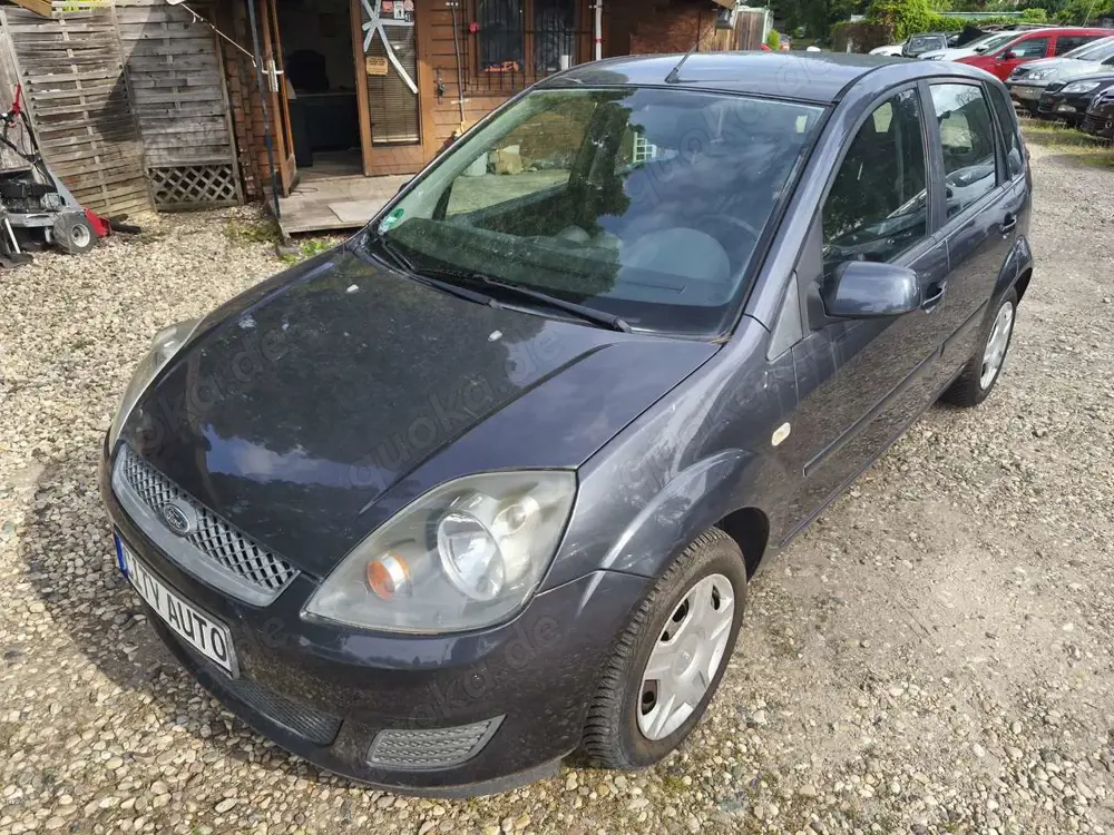 Ford Fiesta Style