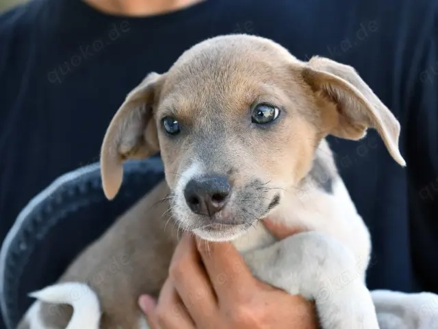 Speranza sucht ihr Zuhause