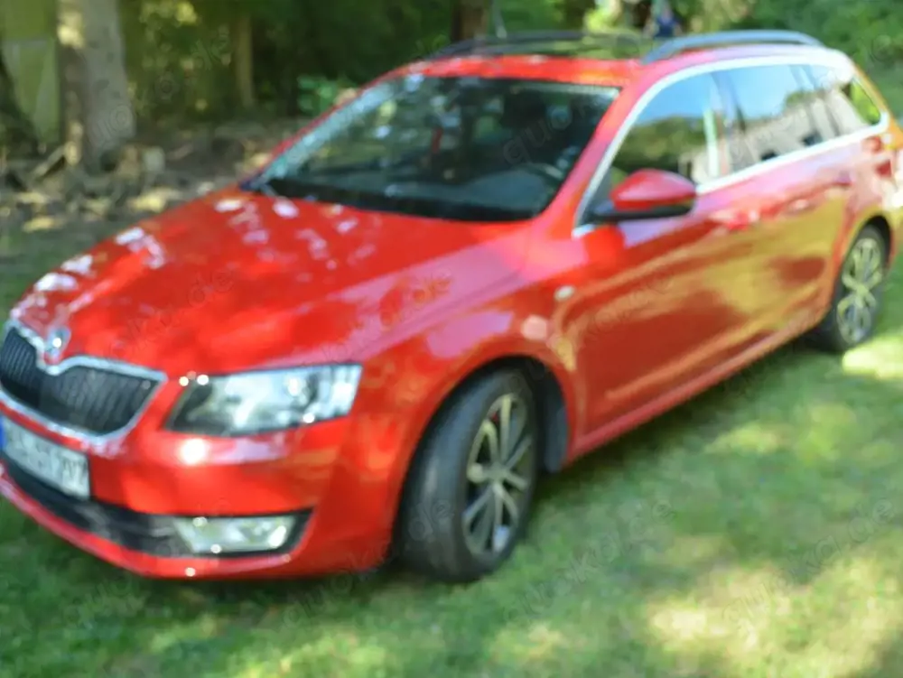 Skoda Octavia Octavia Combi 1.6 TDI Green tec DSG Edition