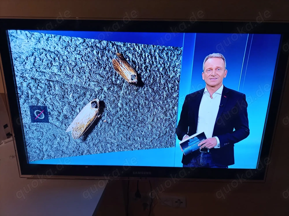 Fernseher Samsung, Modell UE37C6700USXZG, 37 Zoll + Wandhalterung