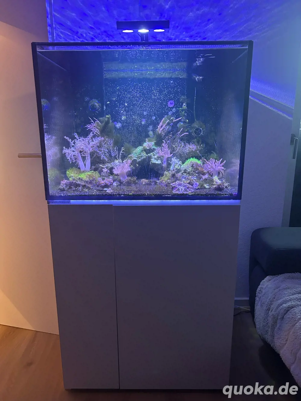 Aquamedic Armatus 300xd   Aquarium   Meerwasser   Korallen