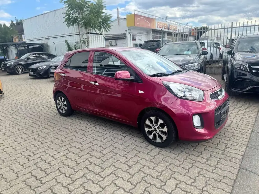 Kia Picanto Dream Team*KLIMA*ALLWETTER*SHZG*L-HZG*