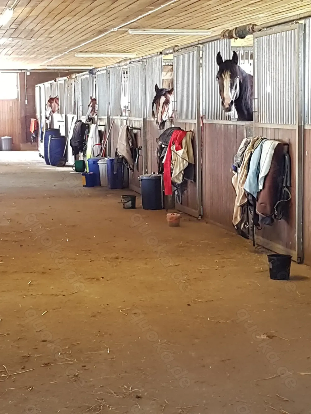 Große helle Innenboxen (4x4m) ab sofort frei