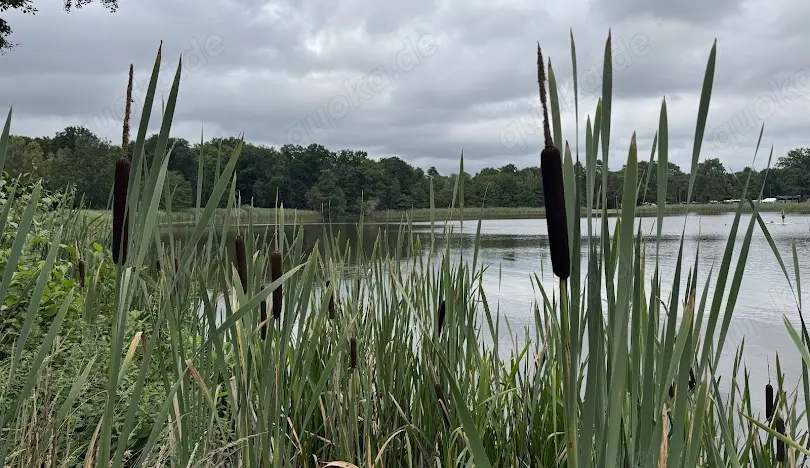 Suche nette Sie für ein kleines Abenteuer gegen TG