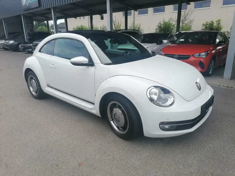 Volkswagen Beetle Cup BMT