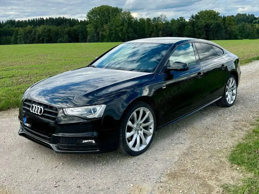 Audi A5 A5 2.0 TDI Sportback (clean die.) quat. DPF S tro.