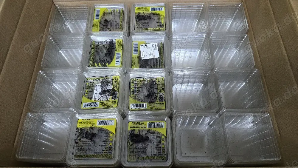 Heimchendosen gelocht, gebraucht mit Deckel 400 Stück, inkl. Versankosten 