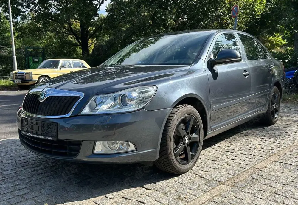 Skoda Octavia Family