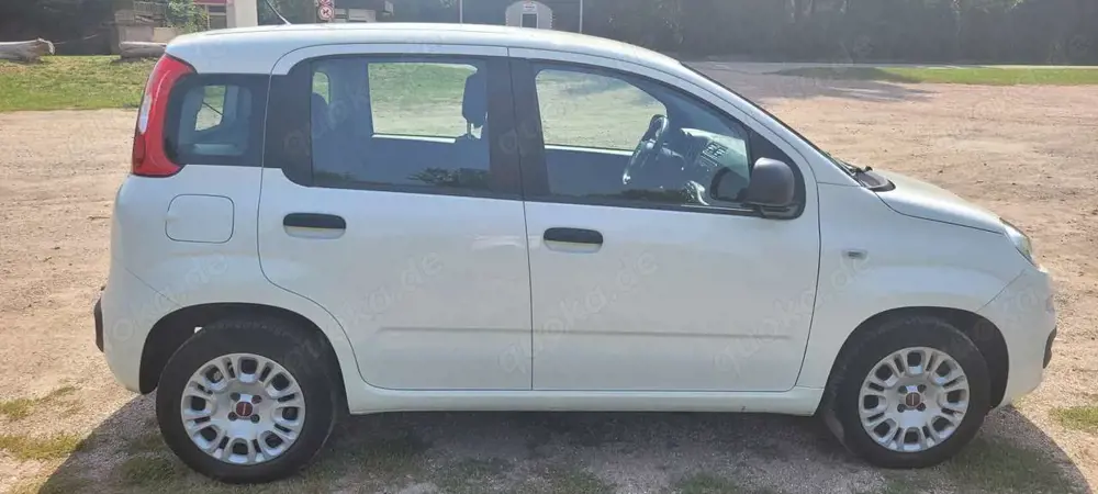 Fiat Panda Panda/Pandina 1.2 Easy