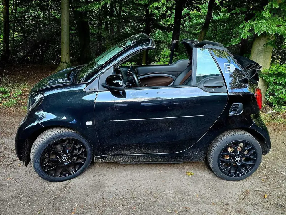 smart forTwo smart fortwo cabrio electro winterpaket