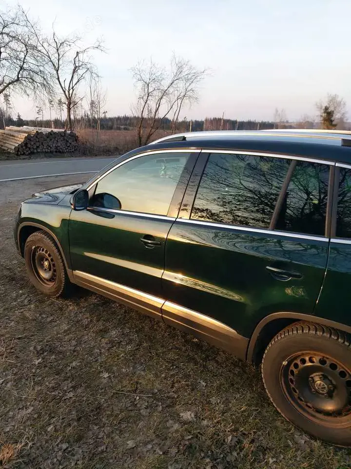 Volkswagen Tiguan Tiguan 2.0 TDI DPF 4Motion DSG Lounge Track