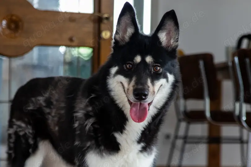 Bonita - verzaubert sie auch dich?