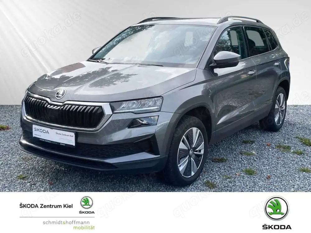 Skoda Karoq 2.0 TDI Ambition (EURO 6d) Klima Rückfahrkamera