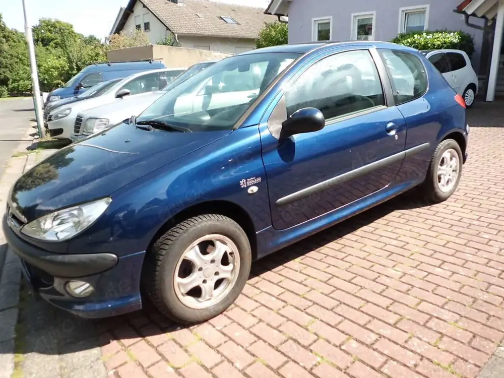 Peugeot 206 Grand Filou Cool