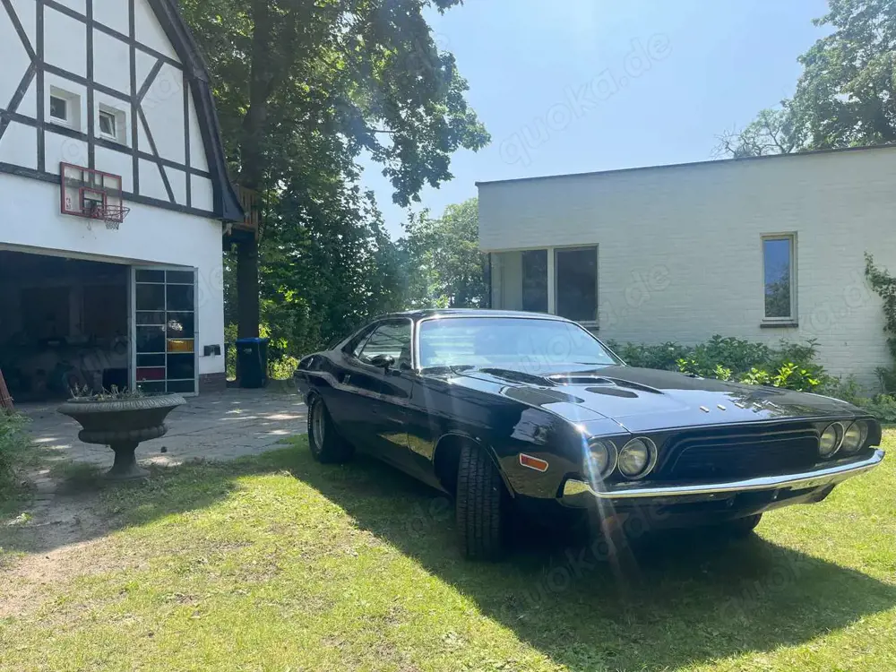 Dodge Challenger Prominenter Vorbesitzer/ Fahrzeug nicht vor Ort