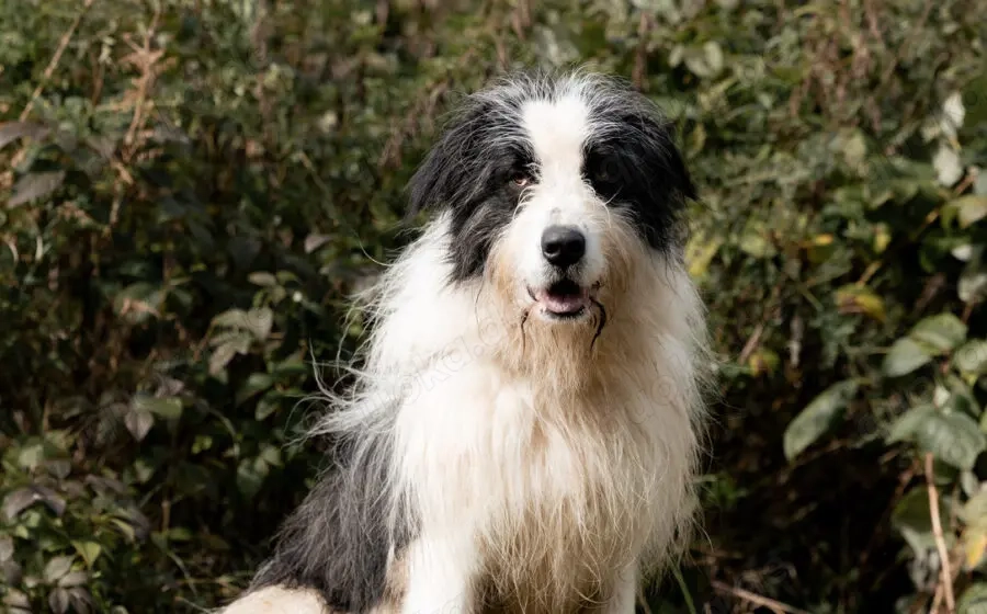 Paul sucht seine Menschen