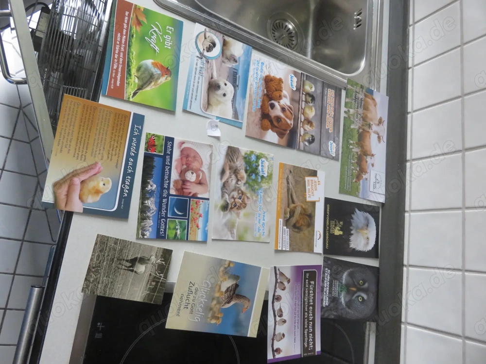 Tierkarten zu verschenken