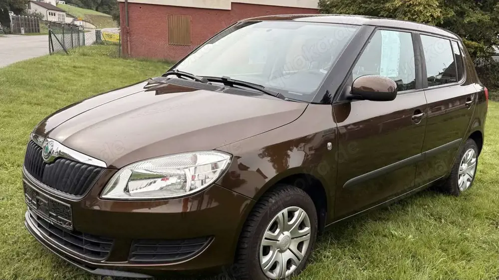 Skoda Fabia Cool Edition KLIMA Steuerkette neu  Ölverbrauch!!