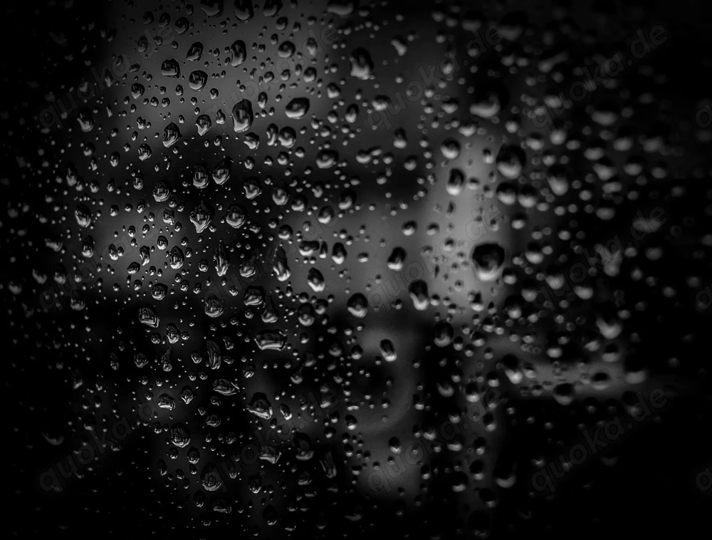 Zwischen Sehnsucht und Schatten...