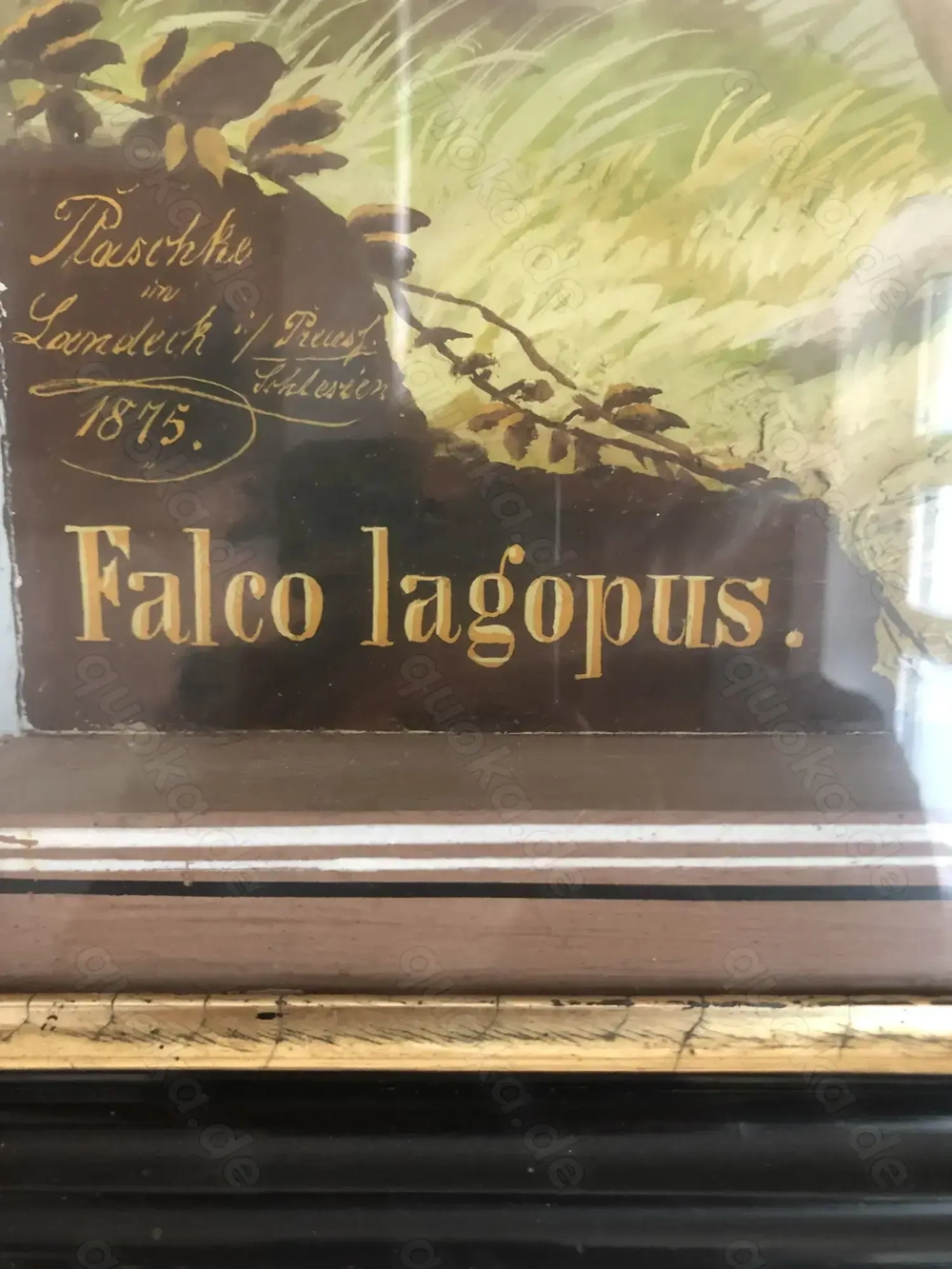 2 antike Reliefbilder von Vögeln