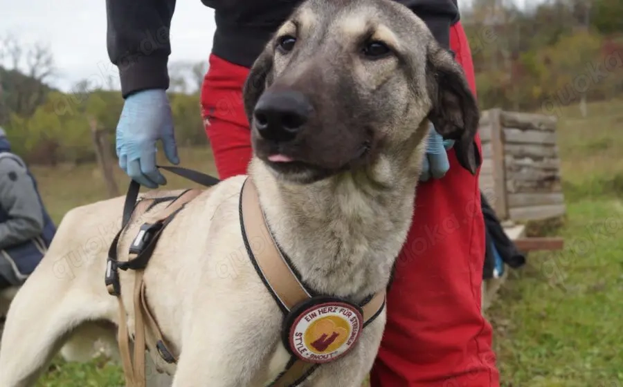Matze erobert dein Herz im Sturm!
