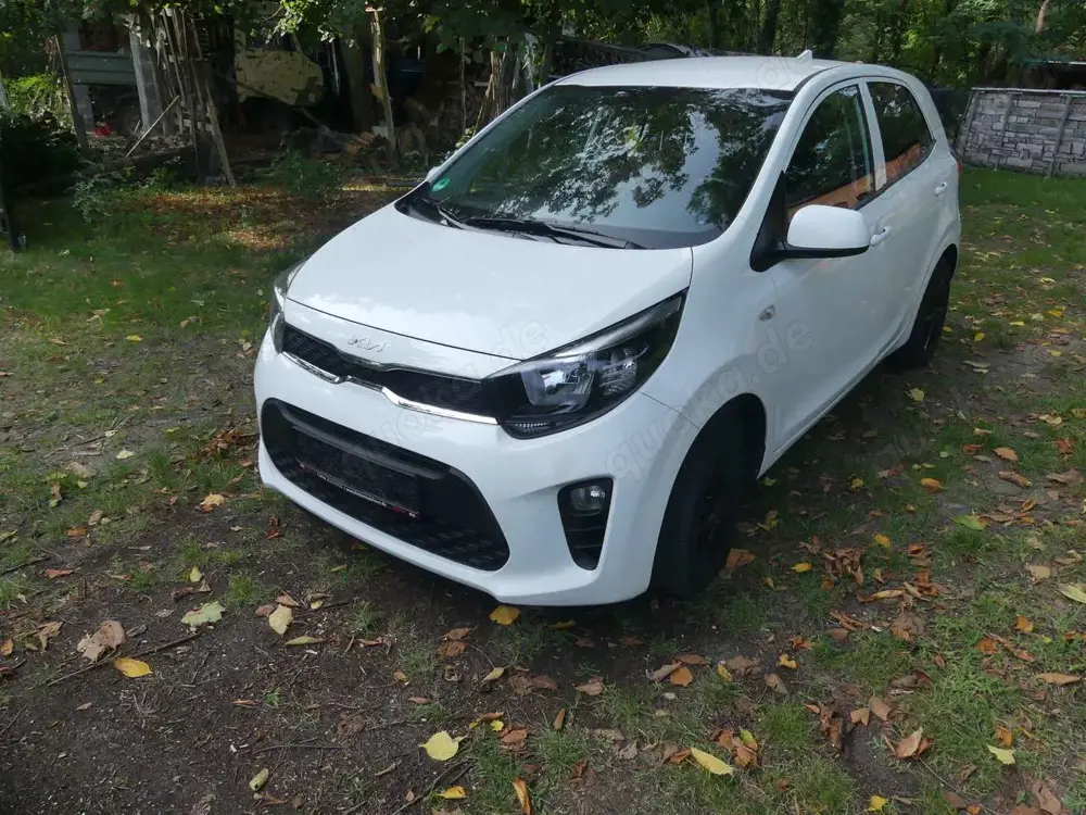 Kia Picanto Picanto 1.0 Aut. Vision