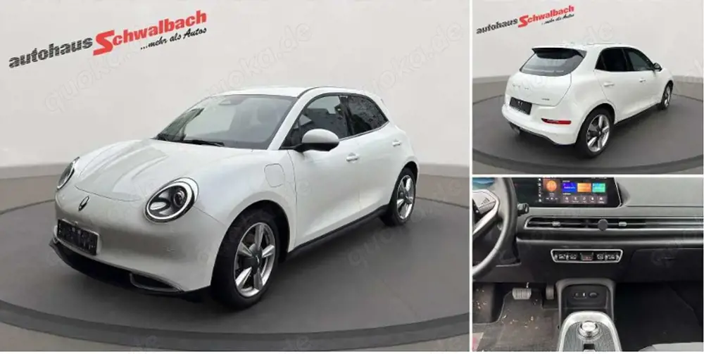 GWM ORA 03 300 PRO / Privatnutzung / Allwette