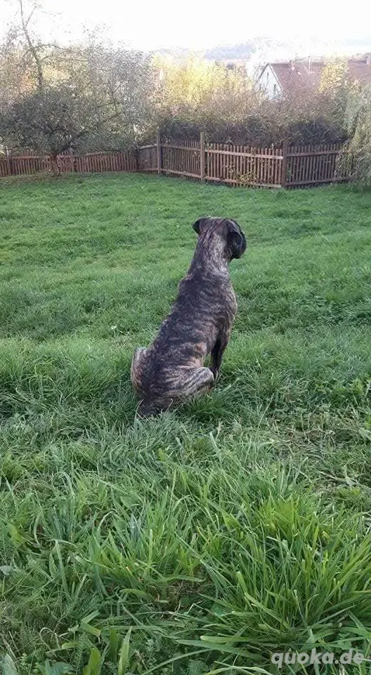 Bauland (  in Reichweiler, für 'Seniorenwohnheim' ...ca.1500m2 voll erschlossen