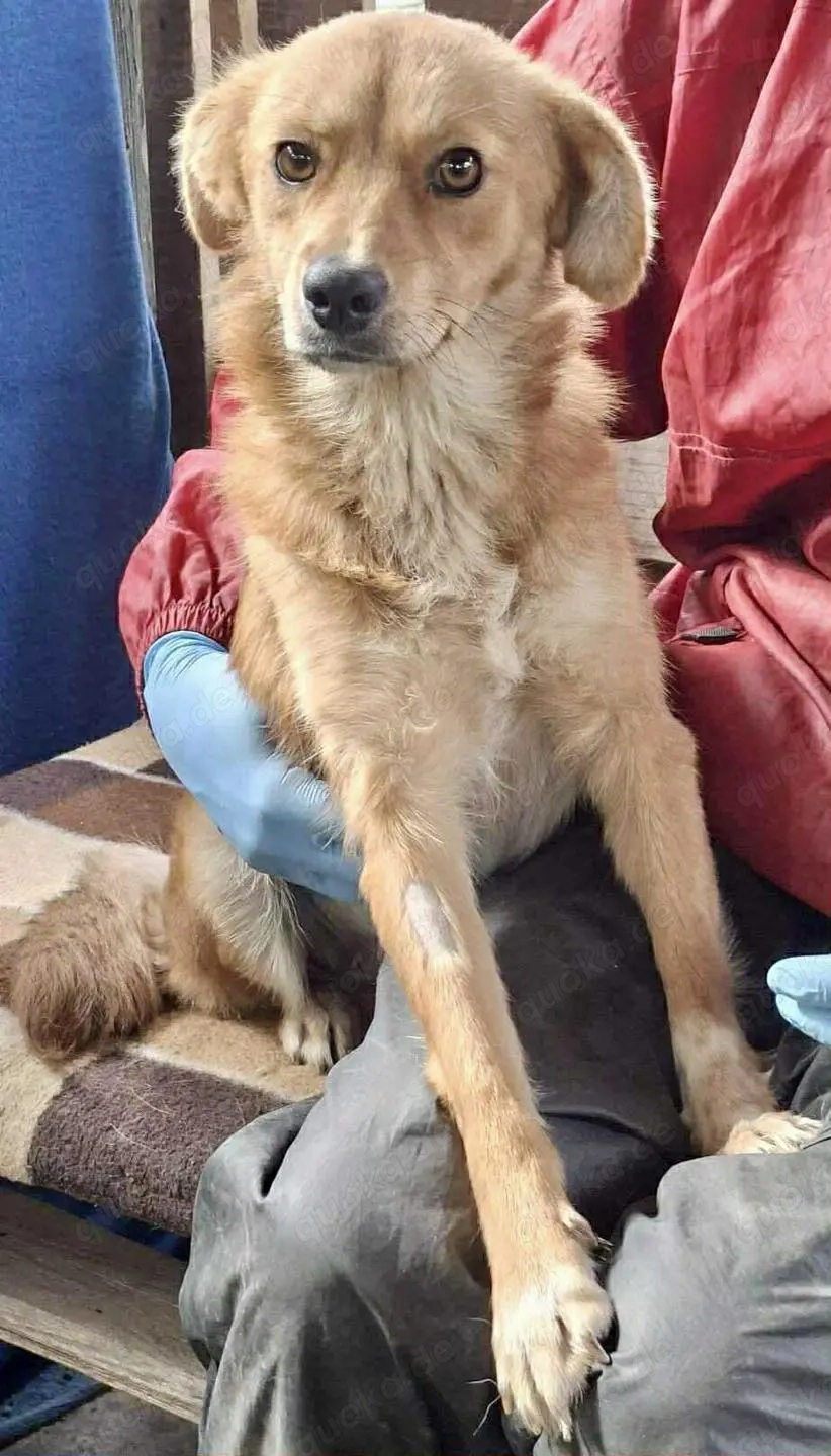 Leni - liebevoll & sanft