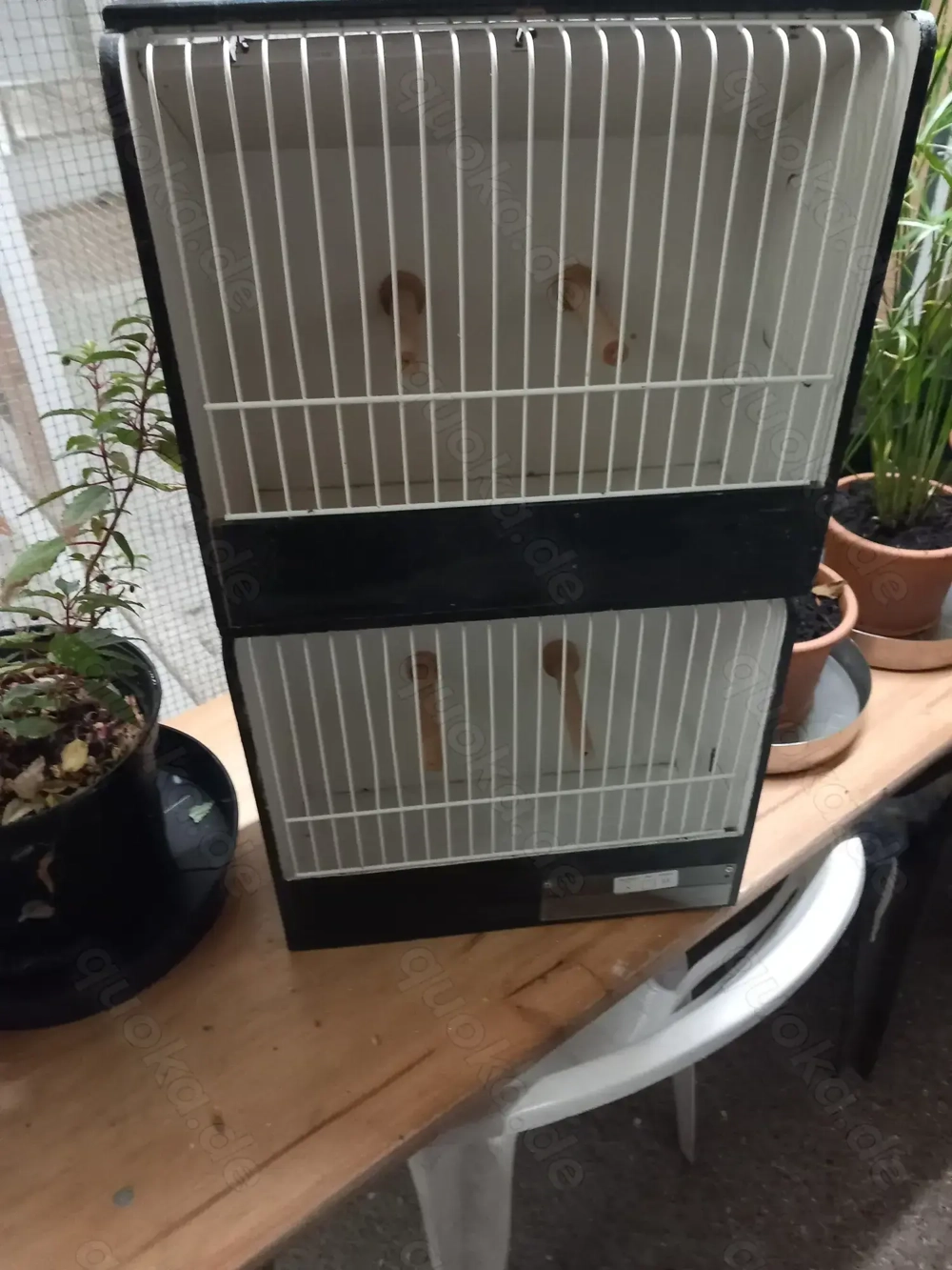 Ausstellungskäfige für Vögel Ausstellungskäfige für Vögel