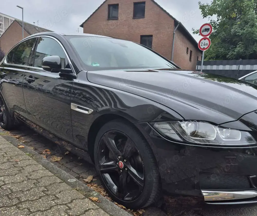 Jaguar XF E-Performance Portfolio