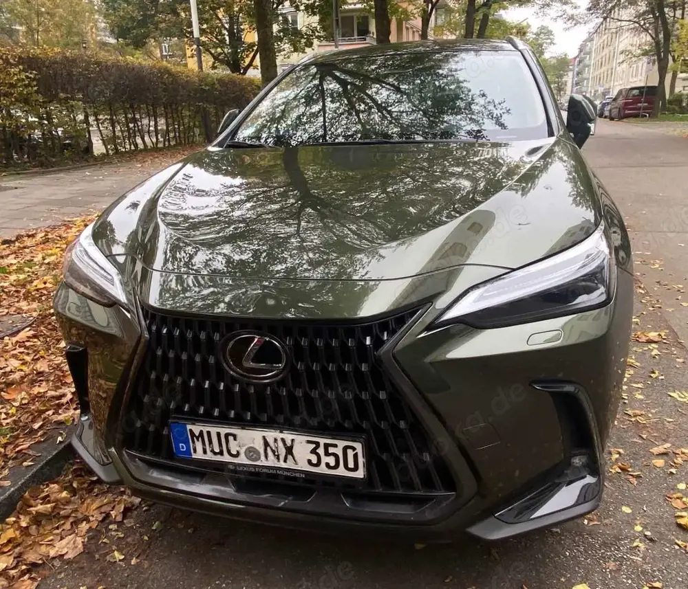 Lexus NX 350h Luxury Line (E-Four) Leder Navi LED