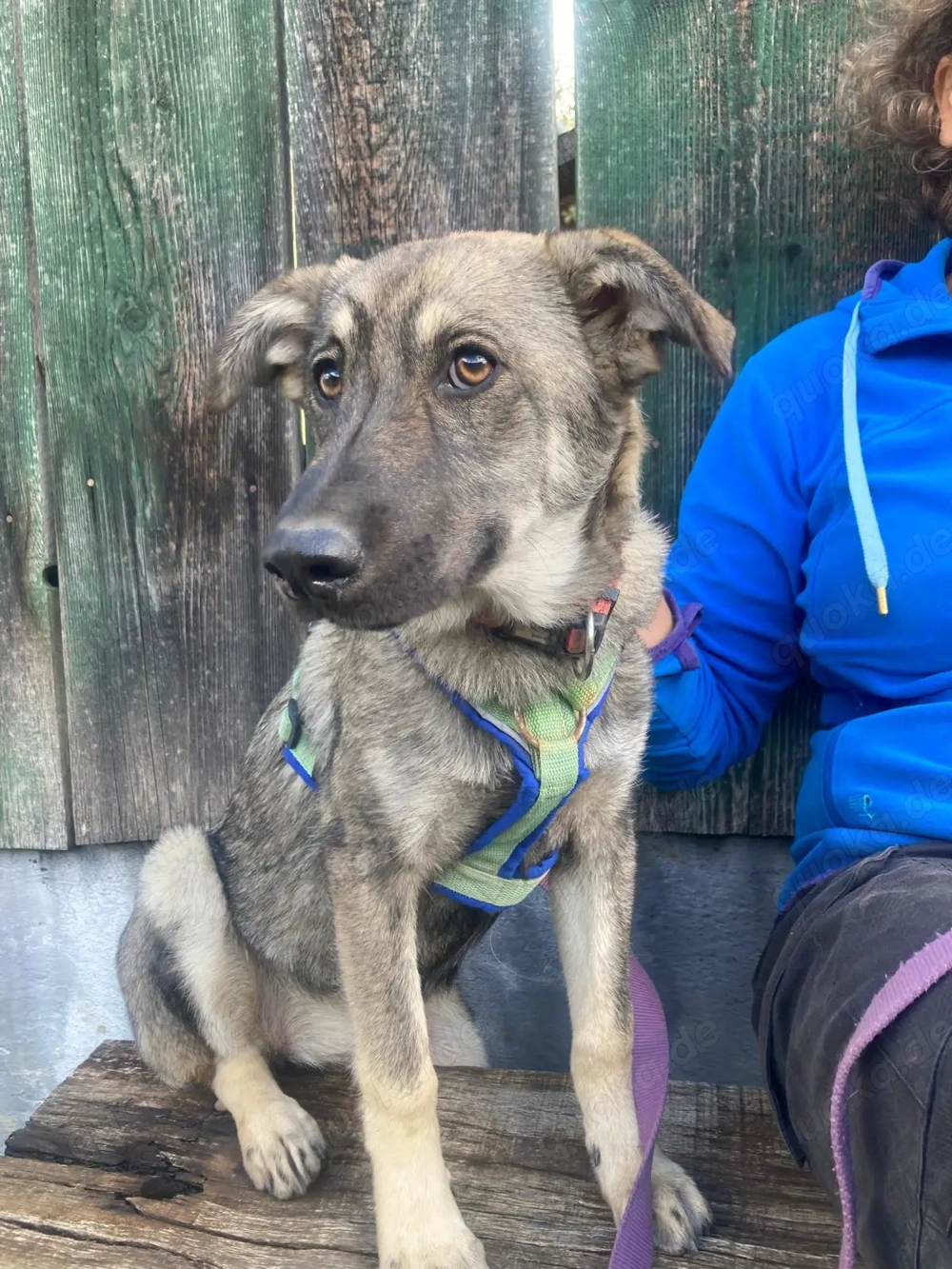 Hannah - darf ich dein Leben ein bischen bunter machen?