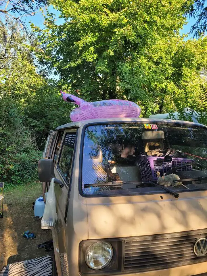 Volkswagen T3 Transporter 251 051/M516