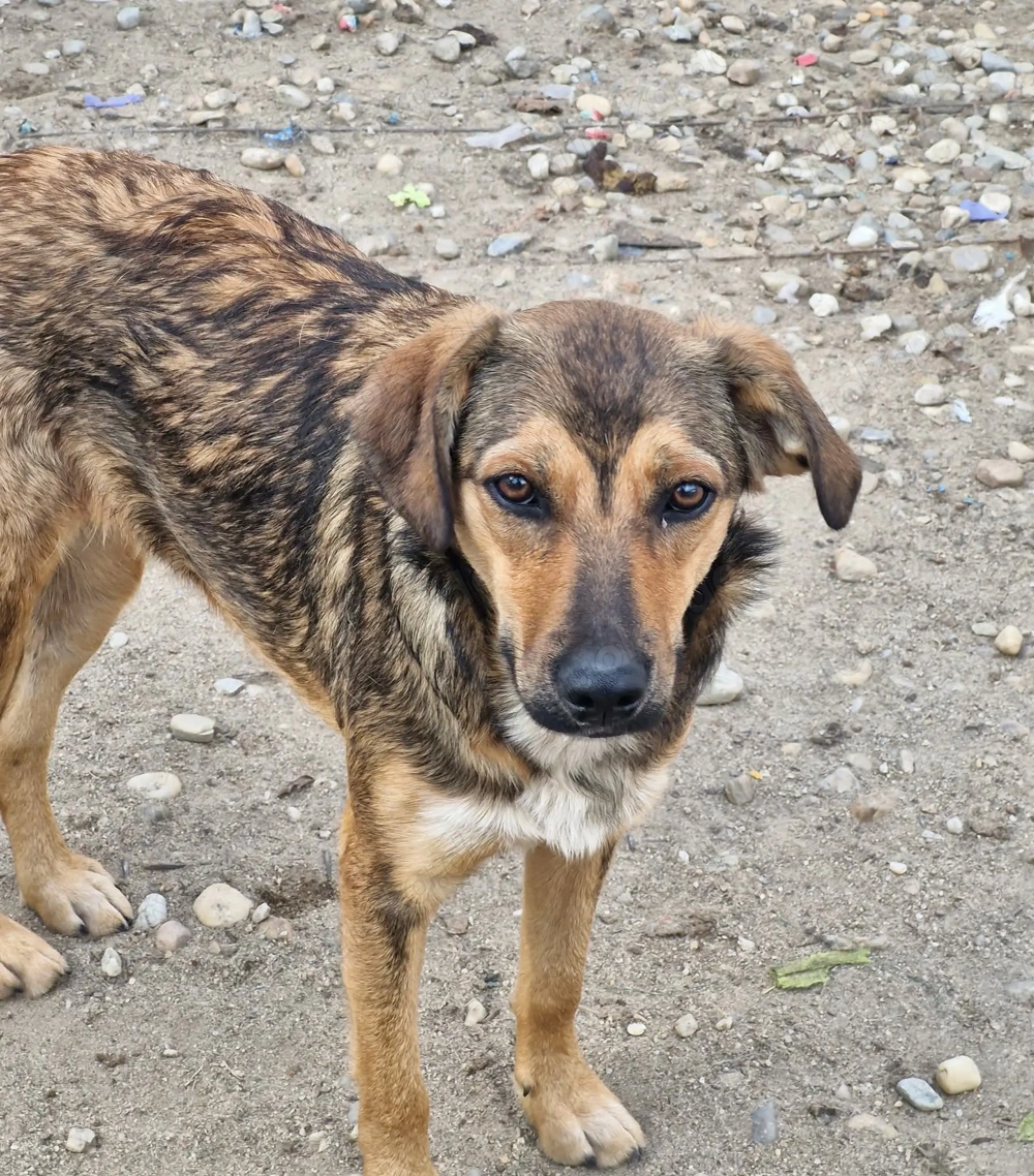 Wer erklärt Albina die Welt?