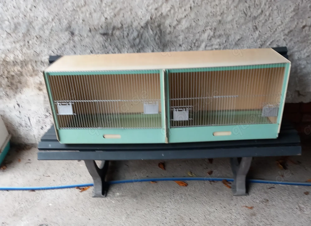 Zuchtbox aus Kunststoff