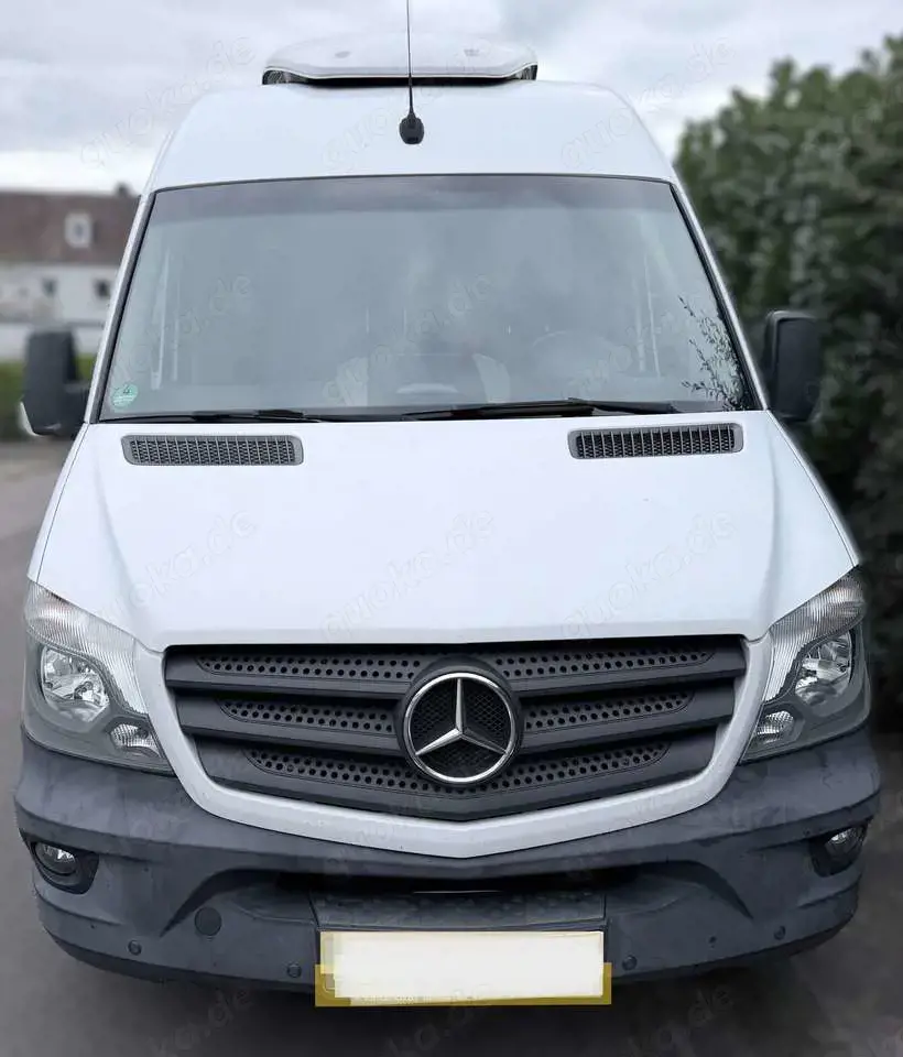 Mercedes-Benz Sprinter Kasten 316 CDI - Kerstner Kühlung - Automatik Mercedes-Benz Sprinter Kasten 316 CDI - Kerstner Kühlung - Automatik