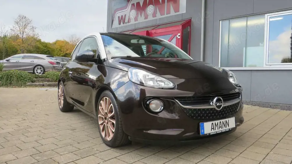Opel Adam Glam, Pano, Top