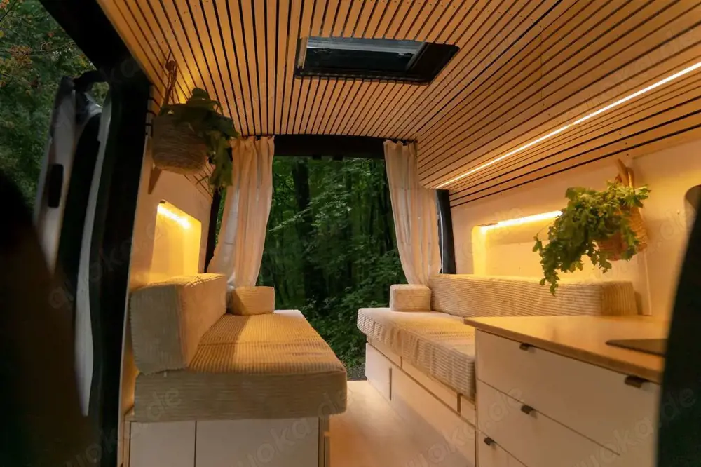 Ford Transit "ZAZU" von Road Birds Manufaktur