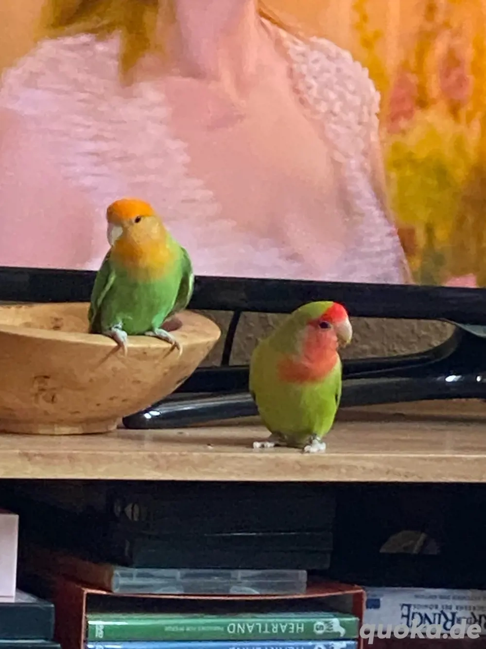 Rosenköpfchen Paar mit kompletter Ausstattung