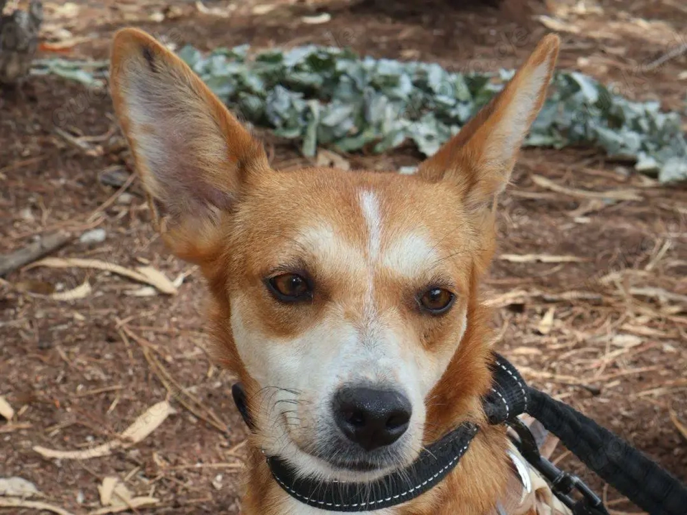 FLY sucht seine Lieblingsmenschen