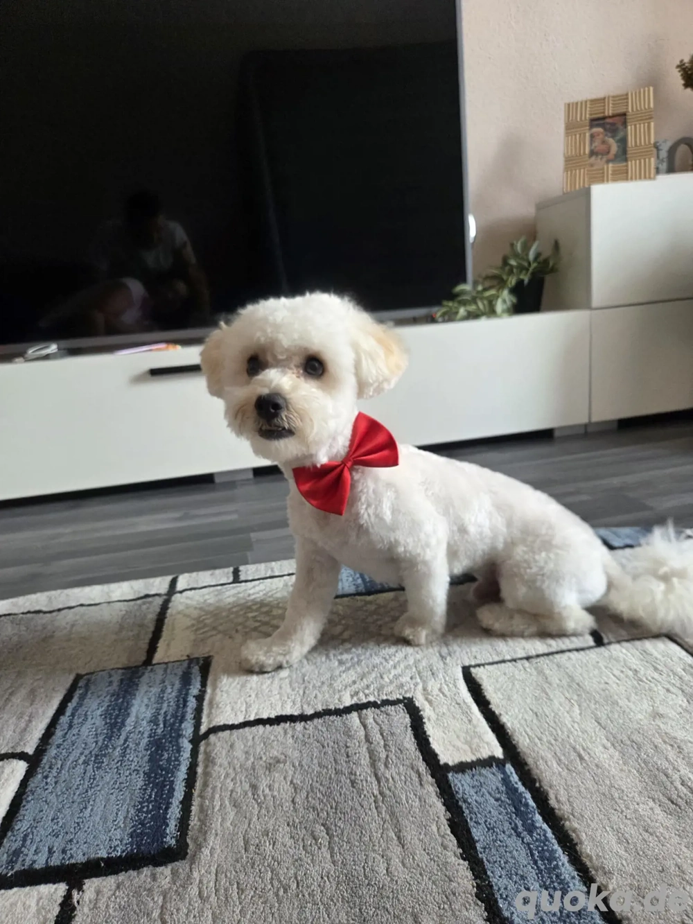 Zum verkaufen  Zum verkaufen