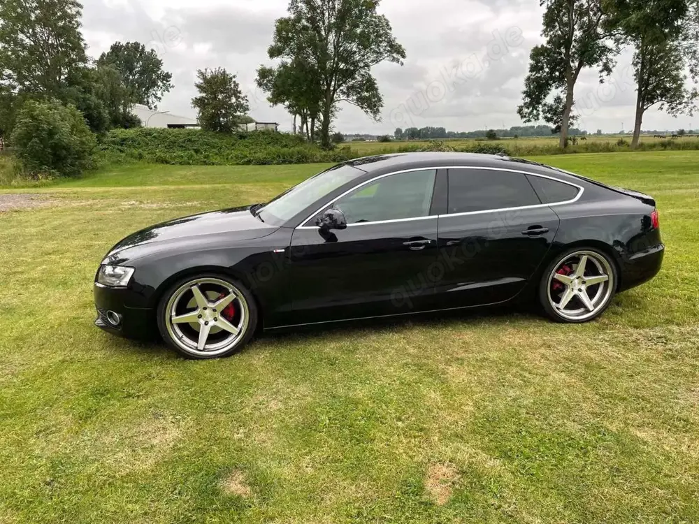 Audi A5 A5 Sportback Diesel 2.0 TDI Sportback DPF