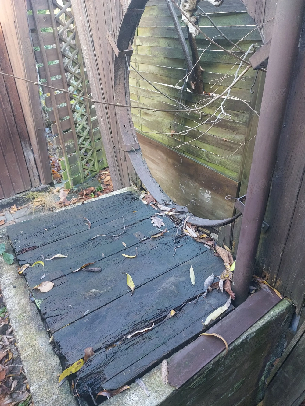 Ich möchte in einem Art Gefängnis nackt eingesperrt werden. Ich bin ein 35 jähriger Mann