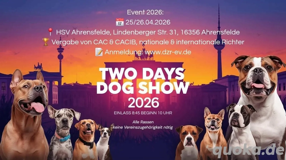 Rassehunde Ausstellung 