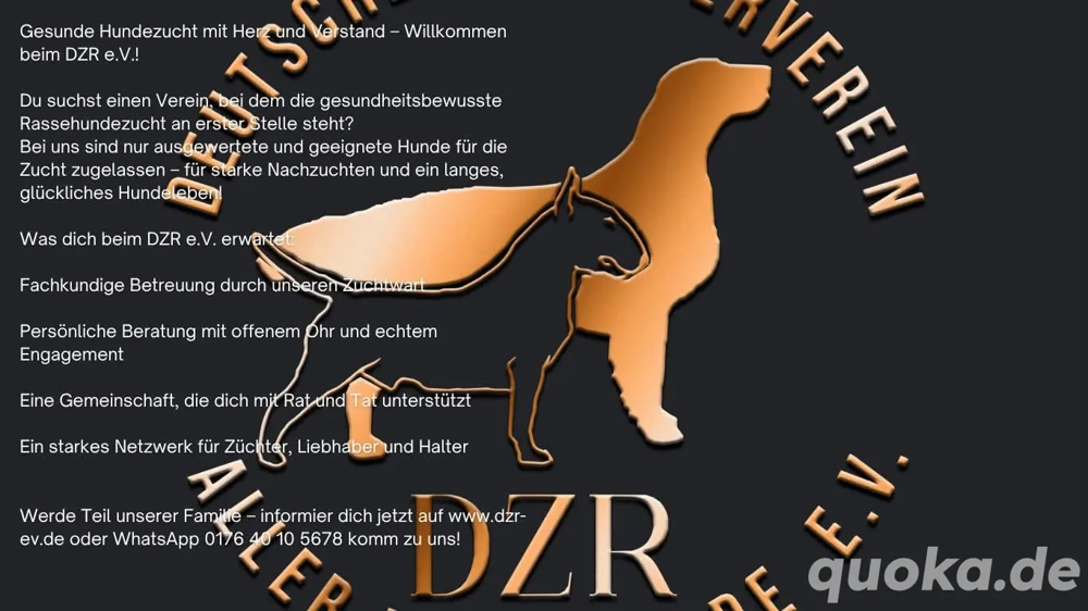 Werde Teil von uns !